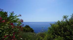 Vistas